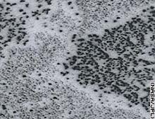 Probe captures gas bursts from Mars's ice cap