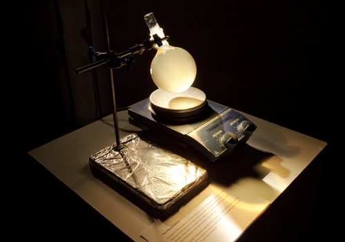 Living Mirror, 2013. Photo: Photo by Sas Schilten 