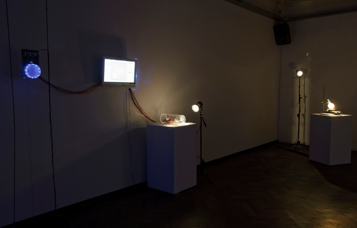 Living Mirror (2013), Age of Wonder, Natlab Eindhoven. Photo by Sas Schilten.
