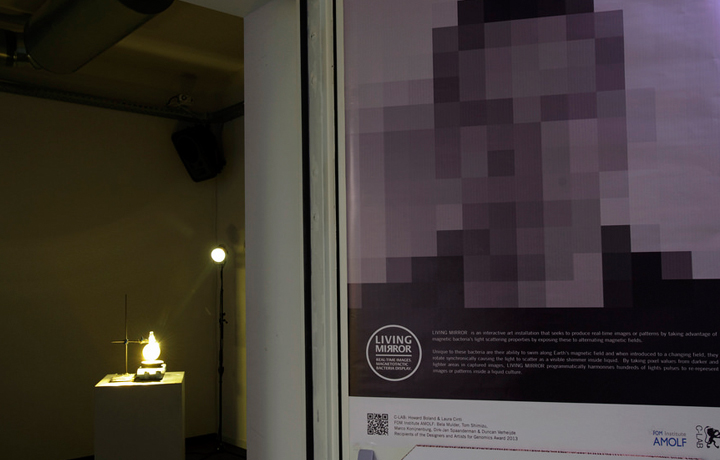 Living Mirror (2013), Age of Wonder, Natlab Eindhoven. Photo by Sas Schilten.