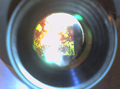 © c-lab 2005, close-up