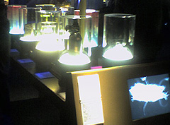 © c-lab 2005, water bear