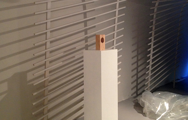 Setting up (19 April 2013), En vie / Alive - New Design Frontiers, Espace Fondation EDF, Paris, France