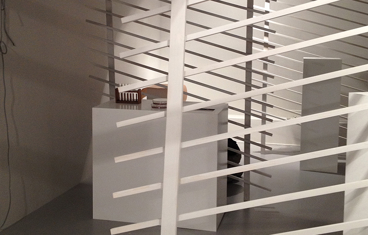 Setting up (19 April 2013), En vie / Alive - New Design Frontiers, Espace Fondation EDF, Paris, France