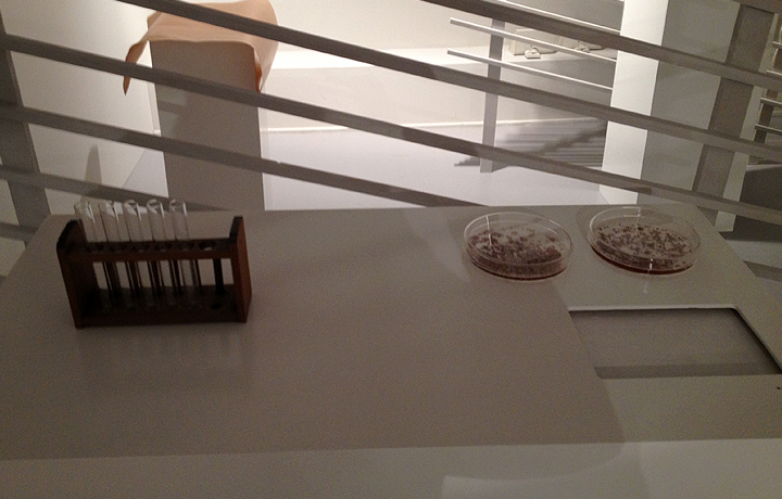 Setting up (19 April 2013), En vie / Alive - New Design Frontiers, Espace Fondation EDF, Paris, France