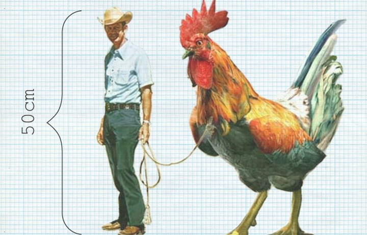 The Incredible Shrinking Man (2013), Arne Hendriks, En vie / Alive - New Design Frontiers, Espace Fondation EDF, Paris,