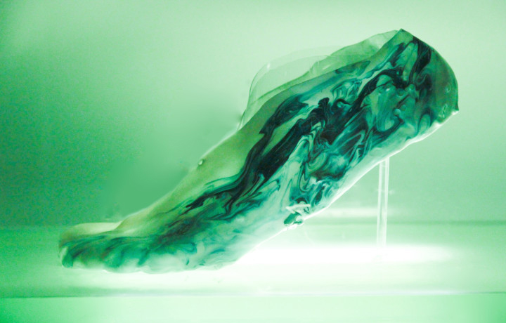 Amoeba Shoe, Shamees Aden, En vie / Alive - New Design Frontiers, Espace Fondation EDF, Paris, France