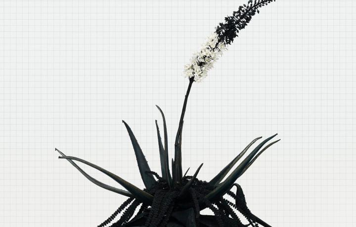 Plant Fiction: Self Eater (Agave Autovora) (2010), Troika, En vie / Alive - New Design Frontiers, Espace Fondation EDF,