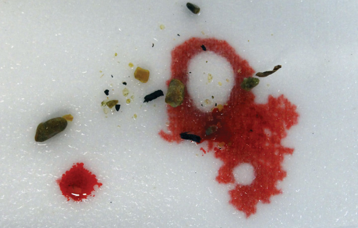 ‘When I Feel Like Nature May Give Up’ (2013), Christian Kerrigan, En vie / Alive - New Design Frontiers, Espace Fondatio