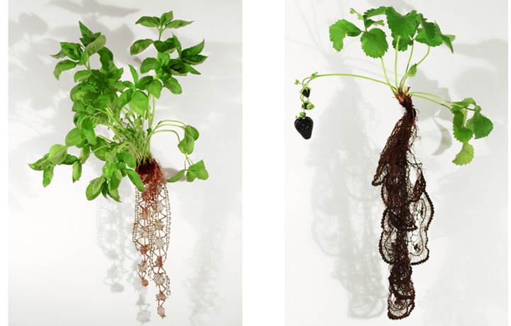 Biolace (2010-2012), Carole Collet, En vie / Alive - New Design Frontiers, Espace Fondation EDF, Paris, France