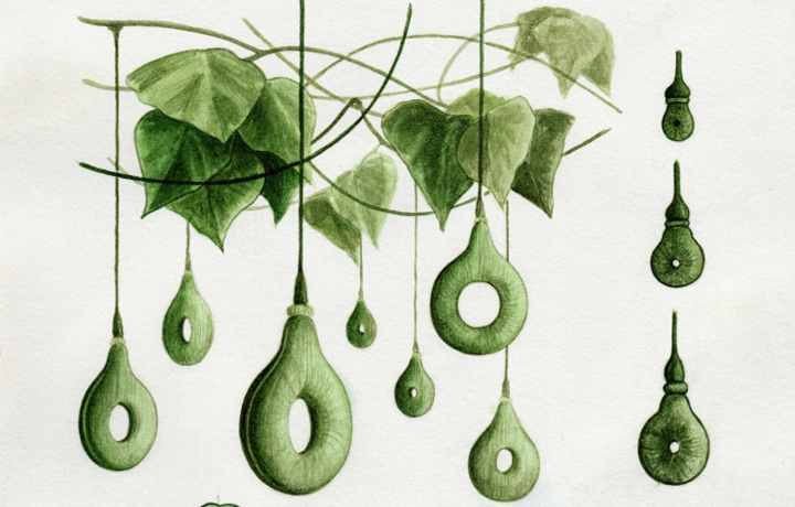 Growth Assembly (2009), Alexandra Daisy Ginsberg and Sascha Pohflepp, illustrations by Sion Ap Tomos, En vie / Alive - N