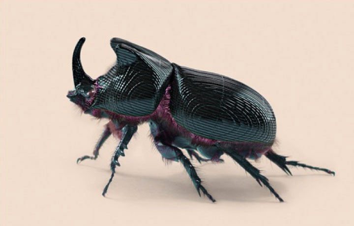 Post Natural History (2012), Vincent Fournier, En vie / Alive - New Design Frontiers, Espace Fondation EDF, Paris, Franc