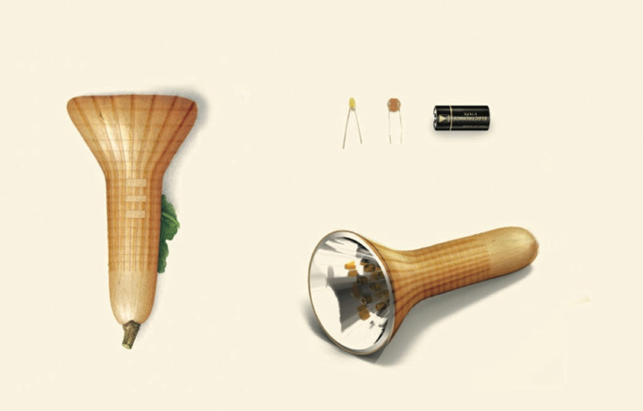Botanical Factory: design and botany workshop (2013), CSM and ENSCI Les Ateliers, En vie / Alive - New Design Frontiers,
