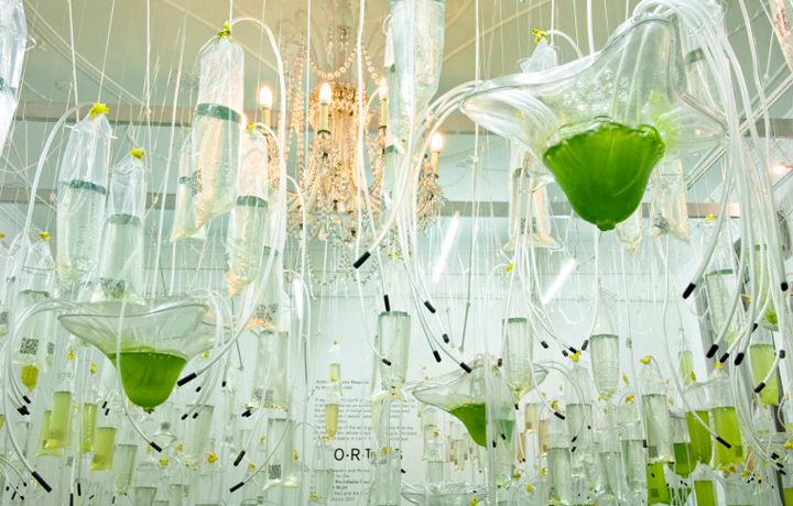 HORTUS.PARIS: The Machinic Harvest (2013), Ecologic Studio, En vie / Alive - New Design Frontiers, Espace Fondation EDF,