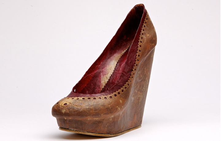 The Biocouture Shoe (2003 - 2013), Suzanne Lee (art director), Liz Ciokajlo-Squire (shoe designer), Aaron Lampert (anima