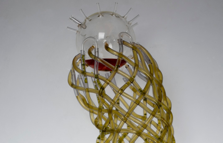 Algaerium Bioprinter (2013), Marin Sawa, En vie / Alive - New Design Frontiers, Espace Fondation EDF, Paris, France