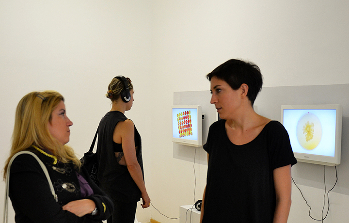 Art-Science Talk, Art Laboratory Berlin, 2013. Photo: Christian de Lutz