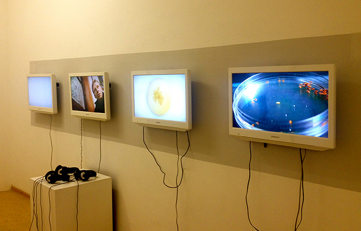 Art-Science Talk, Art Laboratory Berlin, 2013. Photo: C-LAB