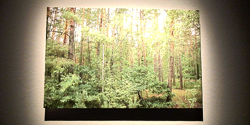 Peter Crusack, Sounds from Dangerous Places, Chenobyl, 2006-2009, video still: c-lab