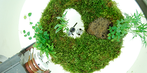 Shiro Matusui, EPO4 - Dewey's Forest (video still)