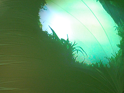 Shiro Matsui, 'EP04 - Dewey's Forest', 2009, Video Still: c-lab