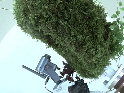 Shiro Matsui, 'EP04 - Dewey's Forest', 2009, Video Still: c-lab