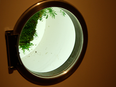 Shiro Matsui, 'EP04 - Dewey's Forest', 2009, Photo: MOR