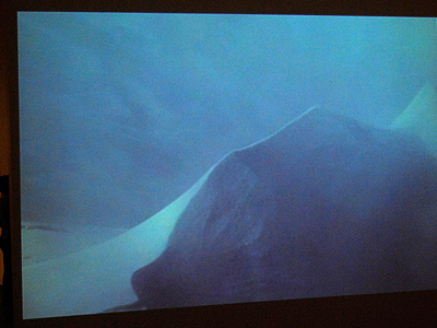 Lucy and John Orta, 'Antartica Village - No Borders', 2007, Photo: MOR