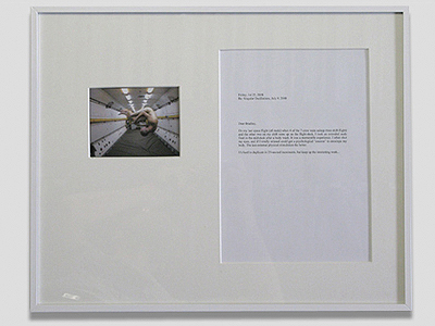 Bradley Pitts, 'Singular Oscillations', 2008-2009