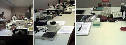 the lab, © c-lab 2006