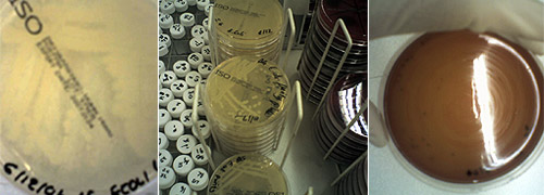 Experiment results, © c-lab 2006