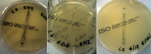 E-tests experiment, © c-lab 2006