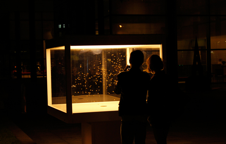 Anne Brodie, Bee Box, 2011
