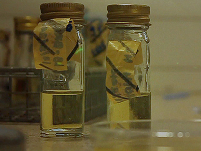Two types of media:  LB-broth, used to grow-up larger amounts of bacteria often overnight and LB-Agar used to grow fewer