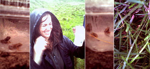 A rather froggy adventure &copy; c-lab 2007
