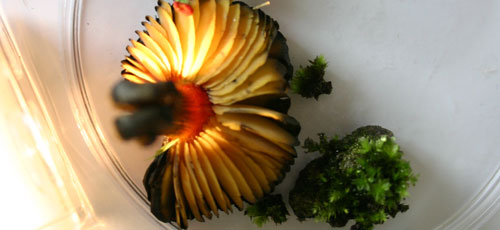 Some mushroom we found on the way &copy; c-lab 2007