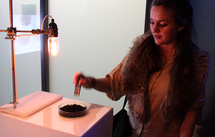 Margherita Cinti interacting with magnetically actuated plants. 