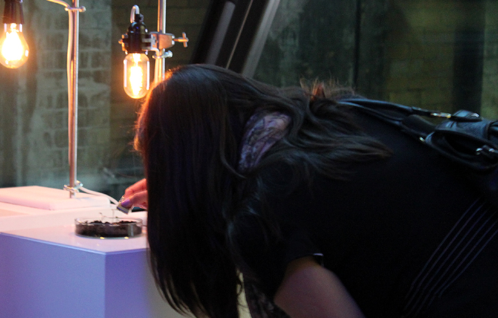 Guest interacting with magnetically actuated cress plants.
