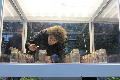 António Caramelo, setting up the work