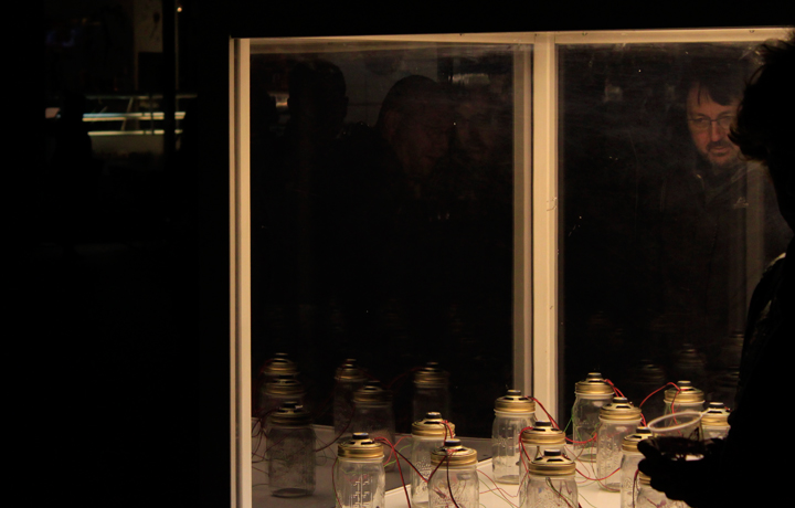 Opening of António Caramelo's 'Dreaming of a Butterfly', 4 November 2011