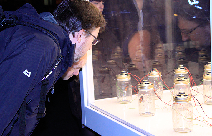 Opening of António Caramelo's 'Dreaming of a Butterfly', 4 November 2011