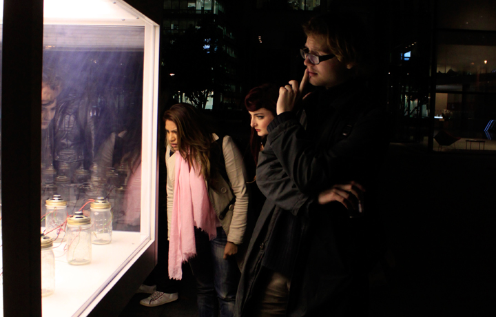 Opening of António Caramelo's 'Dreaming of a Butterfly', 4 November 2011