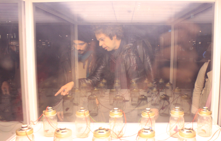 Opening of António Caramelo's 'Dreaming of a Butterfly', 4 November 2011