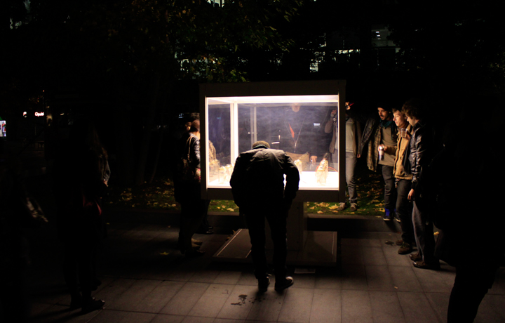 Opening of António Caramelo's 'Dreaming of a Butterfly', 4 November 2011