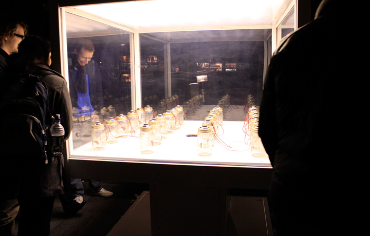 Opening of António Caramelo's 'Dreaming of a Butterfly', 4 November 2011