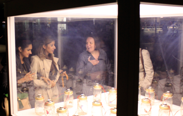 Opening of António Caramelo's 'Dreaming of a Butterfly', 4 November 2011