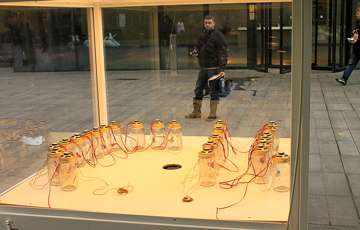 Setting up António Caramelo's 'Dreaming of a Butterfly', 4 November 2011