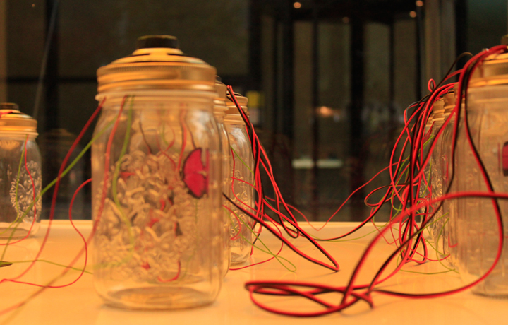 Setting up António Caramelo's 'Dreaming of a Butterfly', 4 November 2011