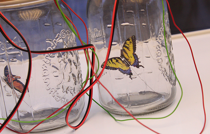 Setting up António Caramelo's 'Dreaming of a Butterfly', 4 November 2011