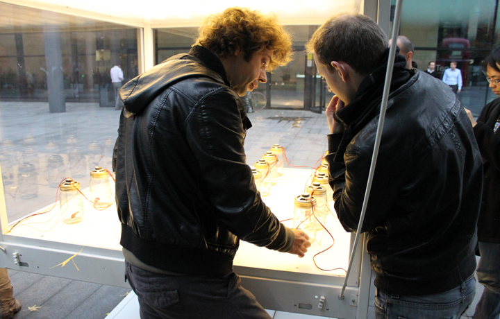 Setting up António Caramelo's 'Dreaming of a Butterfly', 4 November 2011